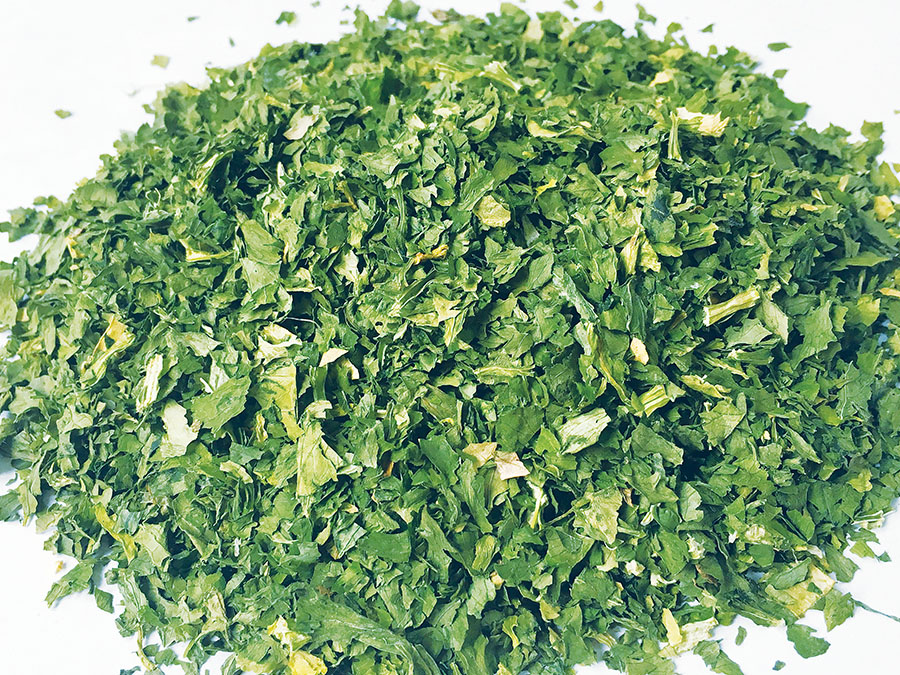 AD Celery Leaves AD Celery Leaves