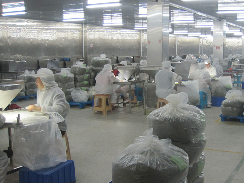 挑选车间（人工）